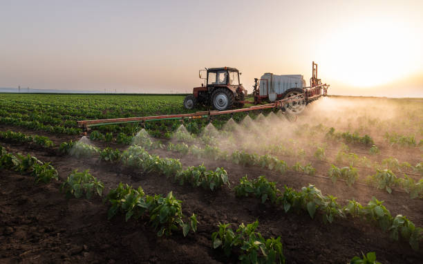 Best Pest Prevention Services  in St Peters, MO