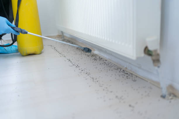 Pest Control for Restaurants in St Peters, MO
